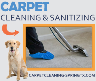professional cleaners in Spring  TX