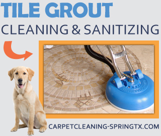 professional Tile Grout Cleaning in Spring  TX